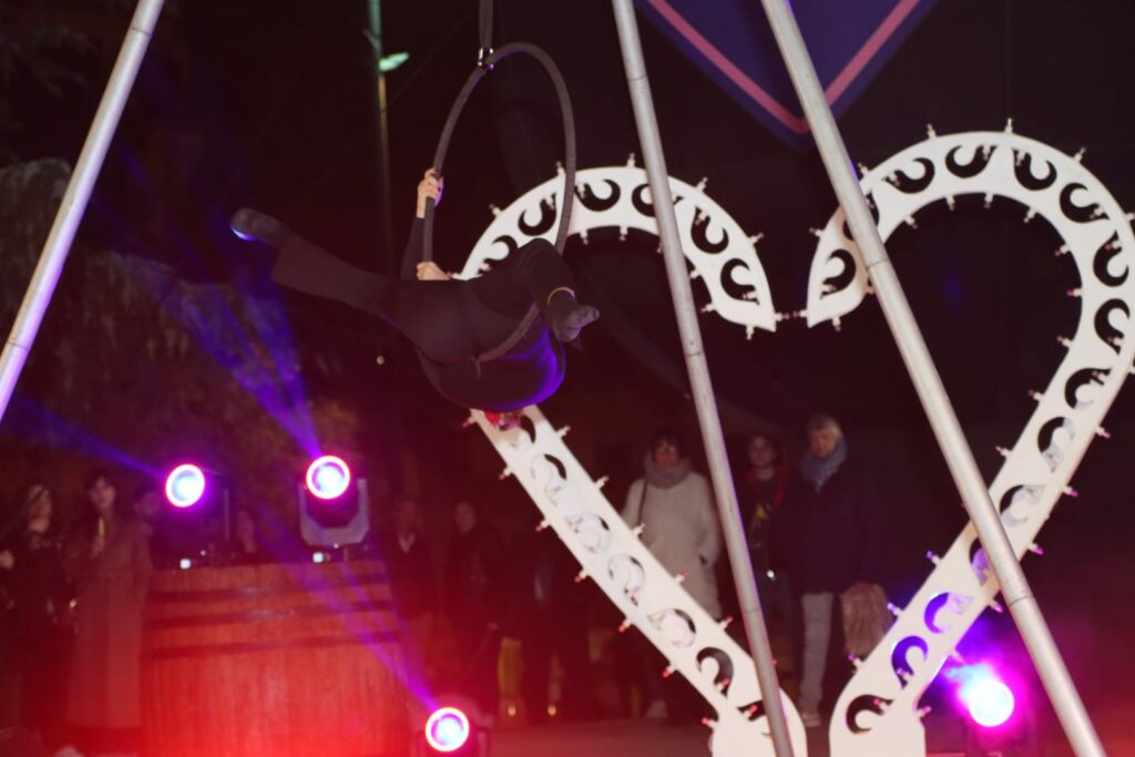 Aerial hoop duo-acrobatica-aerea-artisti-di-strada-puglia (2)