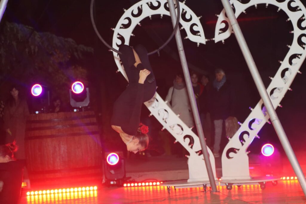 Aerial hoop duo-acrobatica-aerea-artisti-di-strada-puglia (5)