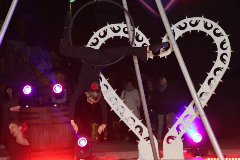 Aerial hoop duo-acrobatica-aerea-artisti-di-strada-puglia (7)